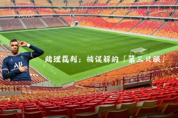助理裁判:被误解的「第三只眼」